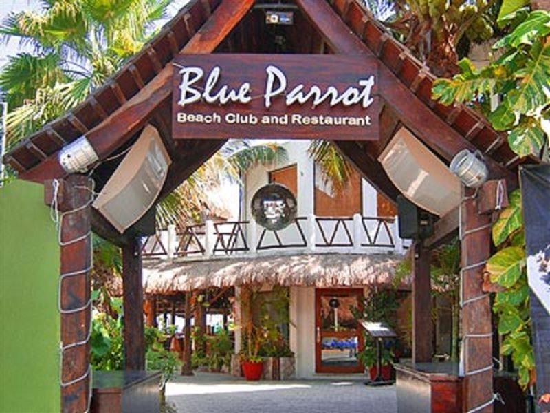 Blue Parrot Suites Playa del Carmen Ngoại thất bức ảnh
