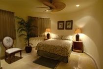 Blue Parrot Suites Playa del Carmen Ngoại thất bức ảnh