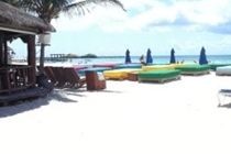 Blue Parrot Suites Playa del Carmen Ngoại thất bức ảnh